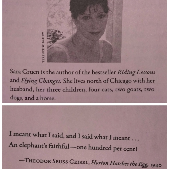 🎪🐘Water for Elephants - Picture 3 of 3